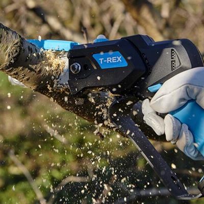 VIDEO CAMPAGNOLA AKU PILA T REX