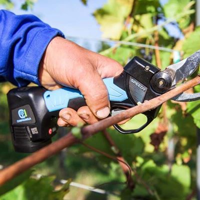 VIDEO CAMPAGNOLA: Funkcija protiv rezanja žice